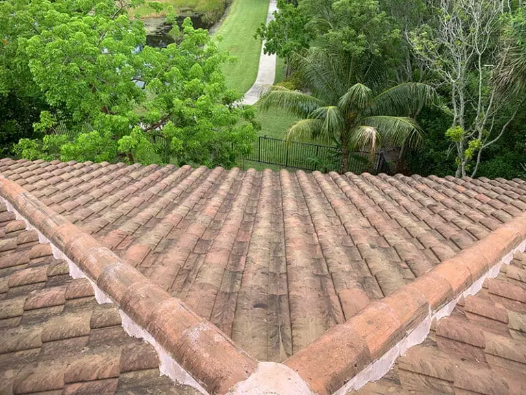 Roof needing a thorough cleaning