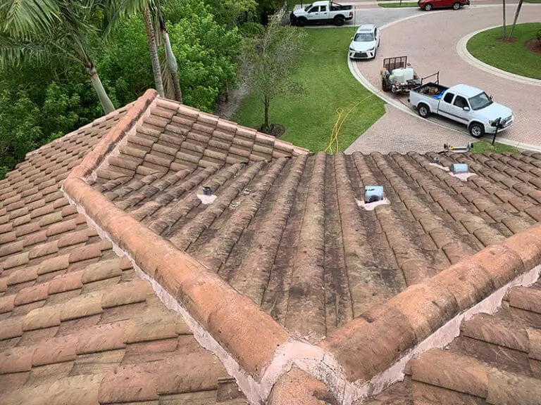 Roof needing a good cleaning