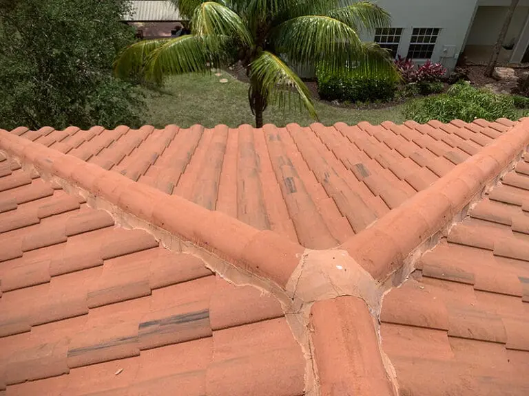 Roof cleaned